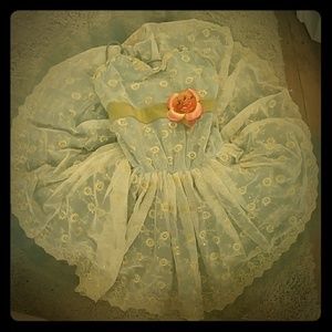 Blue with Gold Lace Ballet Costume